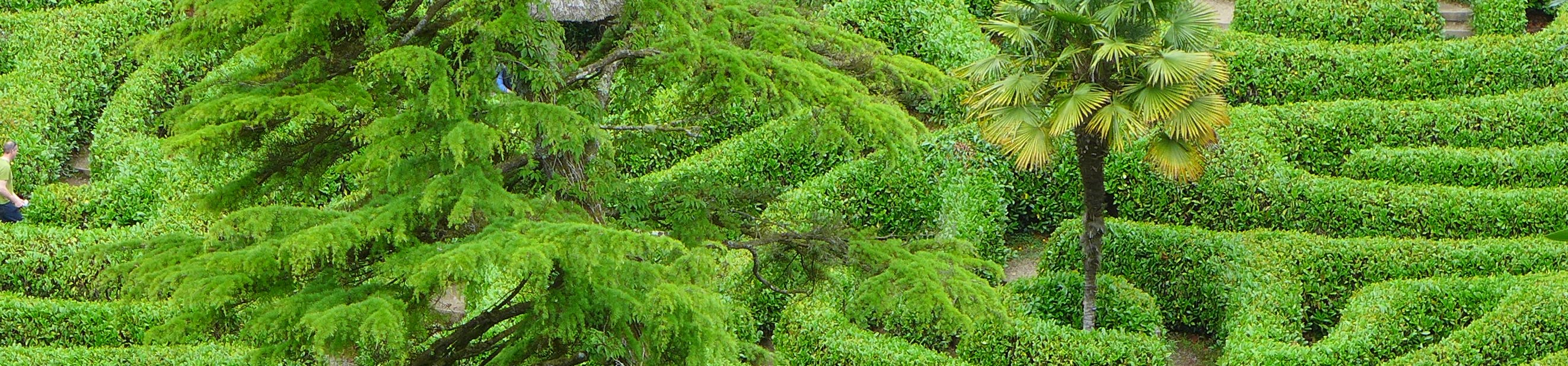 Labyrinth aus Hecken. Verhandlungsführung leicht gemacht