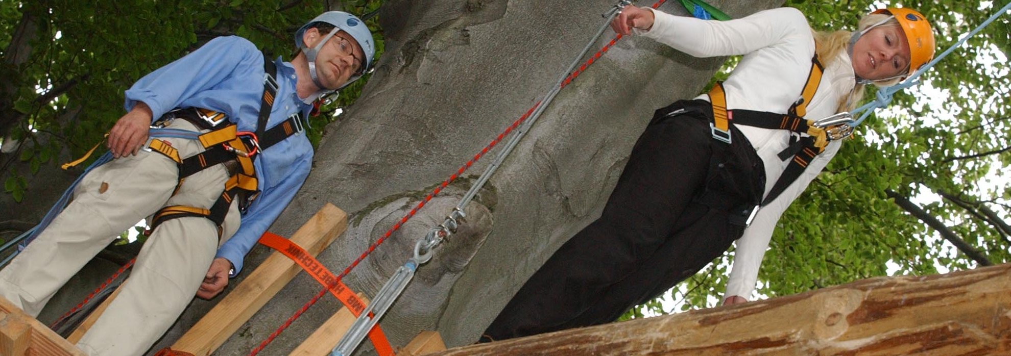 Foto Hochseilübung Catwalk im Seilgarten Stepout Dresden.