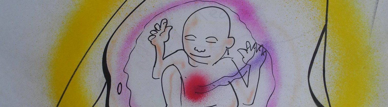 Skizze mit Baßy im Mutterbauch Entwicklung geschieht in der Schwangerschaft.