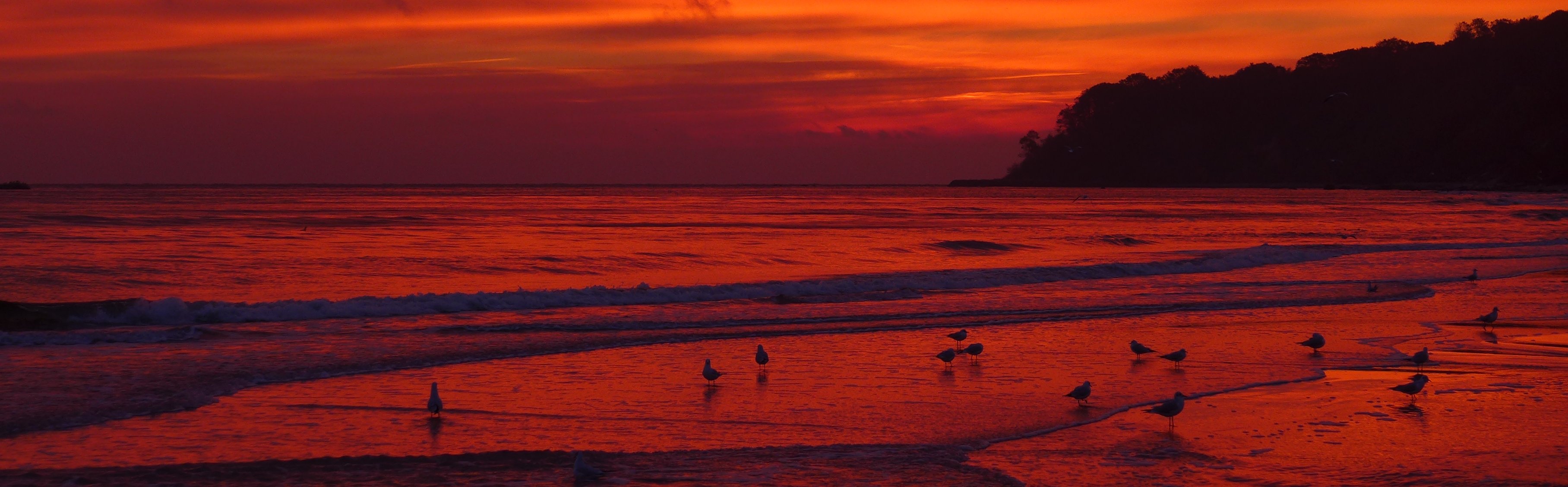 Sonnenaufgang an der Ostsee alles in ein tiefes Rot getaucht. Möven auf der Suche.