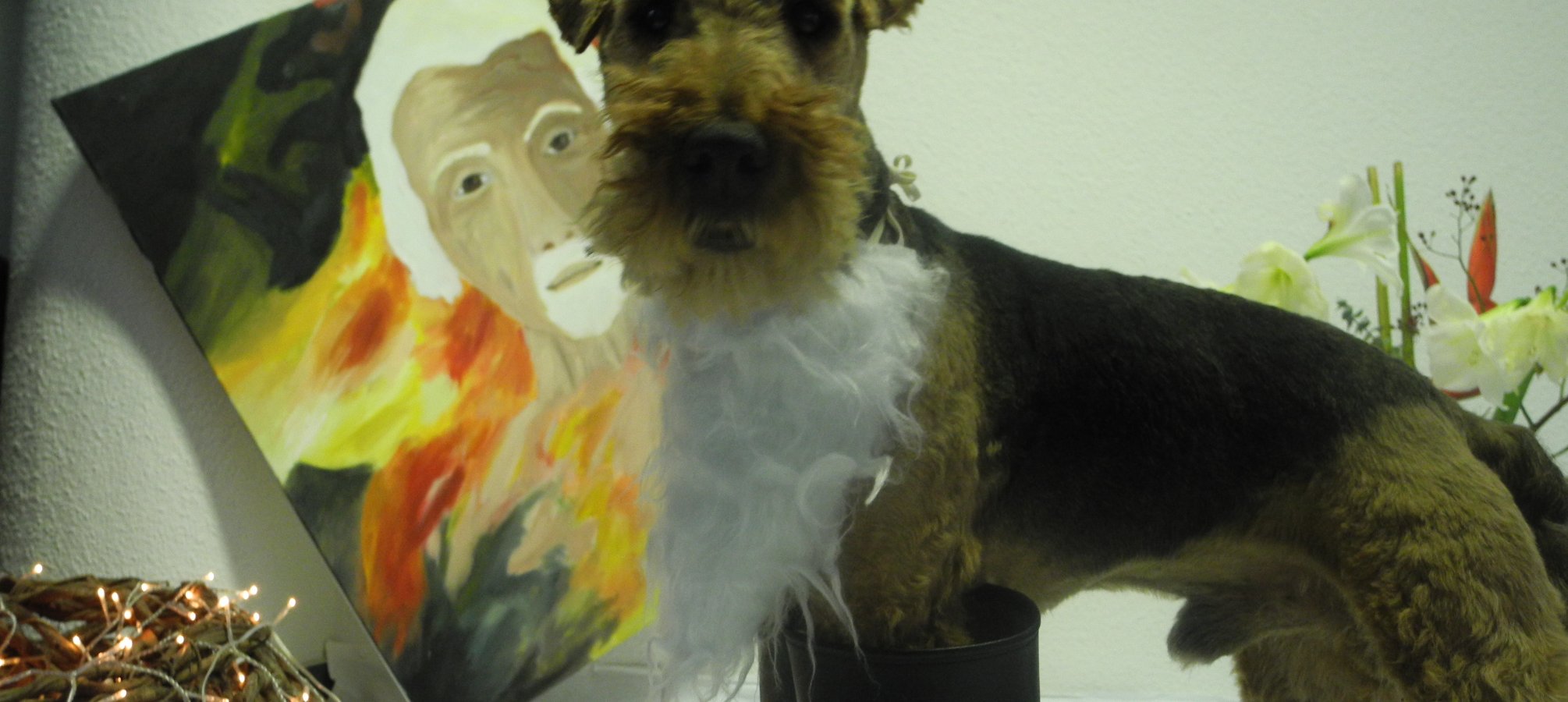 Foto Hund als Weihnachtsmann verkleidet. Sammy Stepout