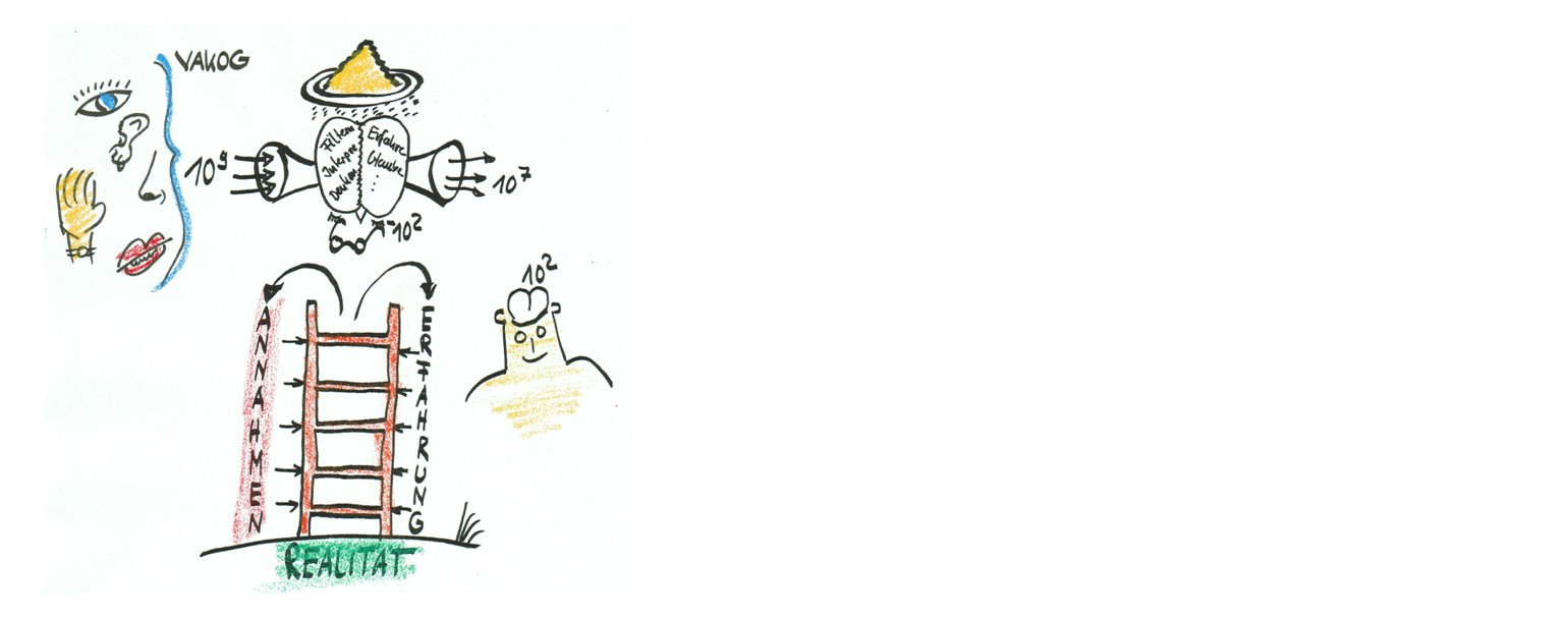 Bildliche Darstellung unserer Sinne. Wie verarbeiten wir VAKOG Infomationen. Stepout